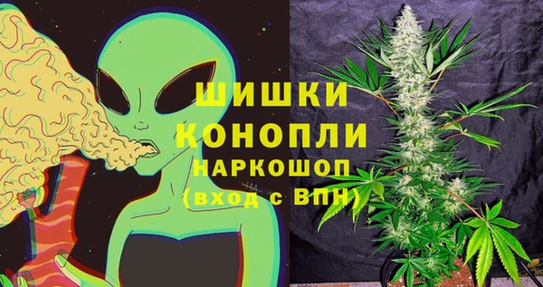 молекула духа Аркадак