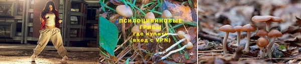 молекула духа Аркадак