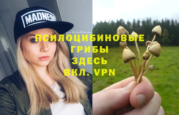 мяу мяу мука Армянск