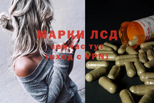 молекула духа Аркадак