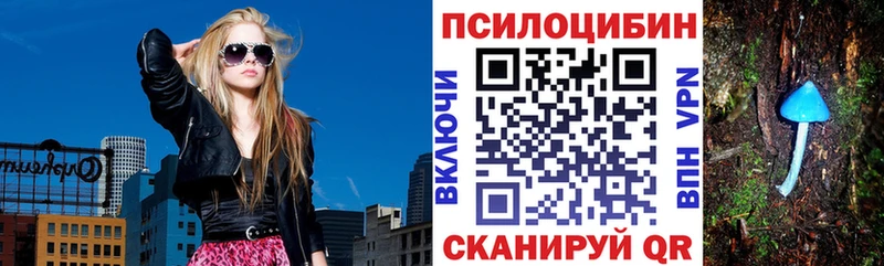 что такое наркотик  Салехард  omg вход  Галлюциногенные грибы Psilocybine cubensis 
